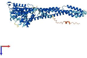 AlphaFold protein structure predicition of Human Recombinant GBP6 Protein, UniprotID Q6ZN66