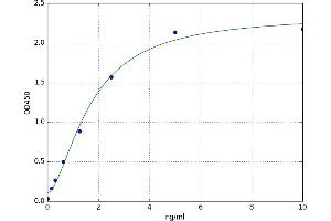 A typical standard curve (TMEM158 Kit ELISA)