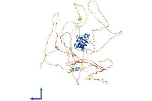 AlphaFold protein structure predicition of Human Recombinant ELF1 Protein, UniprotID P32519