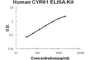 Human CYR61/CCN1 PicoKine ELISA Kit standard curve (CYR61 Kit ELISA)