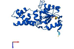 AlphaFold protein structure predicition of Mouse Recombinant Pudp Protein, UniprotID Q9D5U5