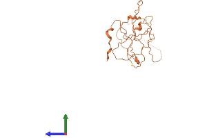 AlphaFold protein structure predicition of Human Recombinant C9orf163 Protein, UniprotID Q8N9P6