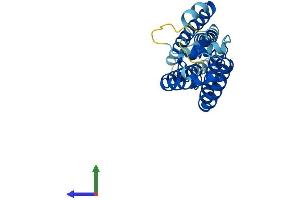 AlphaFold protein structure predicition of Mouse Recombinant Cd82 Protein, UniprotID P40237