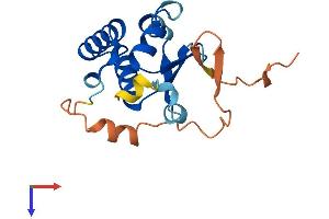 AlphaFold protein structure predicition of Mouse Recombinant Khdc1c Protein, UniprotID Q4KL78