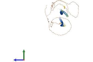 AlphaFold protein structure predicition of Human Recombinant KRT5 Protein, UniprotID P13647