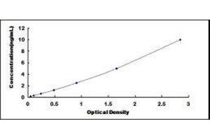 Cysteine and Glycine-Rich Protein 1 (CSRP1) ELISA Kit