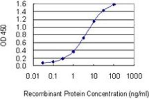 Detection limit for recombinant GST tagged AIF1 is 0.