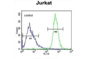 Flow Cytometry (FACS) image for anti-Free Fatty Acid Receptor 3 (FFAR3) antibody (ABIN3002269) (FFAR3 anticorps)