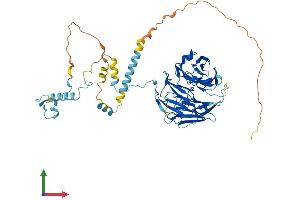 AlphaFold protein structure predicition of Human Recombinant UTP18 Protein, UniprotID Q9Y5J1