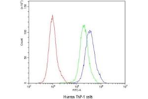 Flow cytometry testing of human ThP-1 cells with CD163 antibody at 1ug/10^6 cells (blocked with goat sera) (CD163 anticorps)