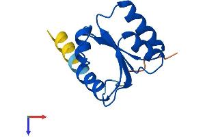 AlphaFold protein structure predicition of Human Recombinant RPL30 Protein, UniprotID P62888