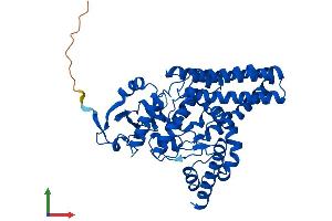 AlphaFold protein structure predicition of Mouse Recombinant Fads2 Protein, UniprotID Q9Z0R9