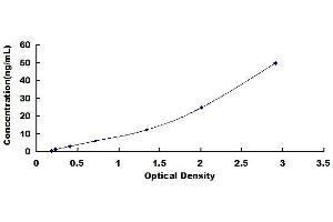 Typical standard curve (ASAH2 Kit ELISA)