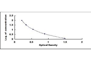 ELISA image for Oxidized Low Density Lipoprotein (OxLDL) ELISA Kit (ABIN4947923)