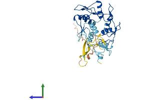 AlphaFold protein structure predicition of Human Recombinant ZNF771 Protein, UniprotID Q7L3S4