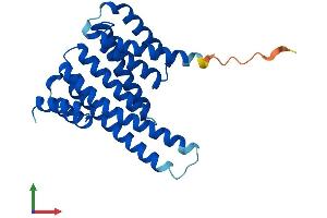 AlphaFold protein structure predicition of Mouse Recombinant Sfn Protein, UniprotID O70456