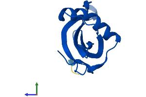 AlphaFold protein structure predicition of Mouse Recombinant Cstb Protein, UniprotID Q62426