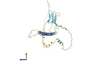 AlphaFold protein structure predicition of Human Recombinant ATF1 Protein, UniprotID P18846