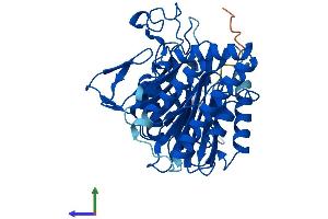 AlphaFold protein structure predicition of Human Recombinant SCRN2 Protein, UniprotID Q96FV2