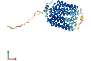 AlphaFold protein structure predicition of Mouse Recombinant Slc17a5 Protein, UniprotID Q8BN82