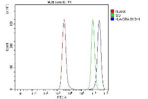 Flow Cytometry analysis of Daudi cells using anti-HLA-DRA antibody (ABIN7600950).