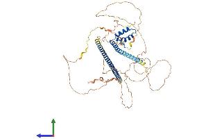 AlphaFold protein structure predicition of Human Recombinant TOX3 Protein, UniprotID O15405
