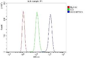 Flow Cytometry analysis of ANA-1 cells using anti-DIO1 antibody (ABIN7599988).