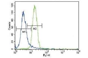 Parkin antibody flow cytometric analysis of NCI-H460 cells (right histogram) compared to a negative control (left histogram). (Parkin anticorps  (AA 387-417))