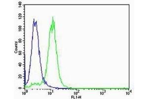 Flow cytometric analysis of K562 cells using vWF antibody (green) compared to an isotype control of mouse IgG1 (blue).