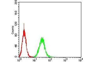 Flow cytometric analysis of A549 cells using PGRMC1 mouse mAb (green) and negative control (red).