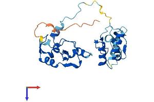 AlphaFold protein structure predicition of Human Recombinant RNF166 Protein, UniprotID Q96A37