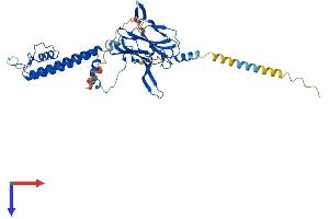 AlphaFold protein structure predicition of Human Recombinant KCNJ6 Protein, UniprotID P48051