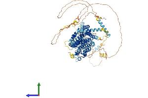 AlphaFold protein structure predicition of Human Recombinant PAXBP1 Protein, UniprotID Q9Y5B6
