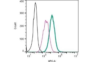 Cell surface detection of Piezo1 by direct flow cytometry in live intact mouse  microglia cells: + Rabbit IgG Isotype Control-APC (ABIN7582043).