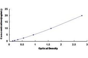 Typical standard curve (SUOX Kit ELISA)