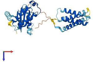 AlphaFold protein structure predicition of Mouse Recombinant Sec22c Protein, UniprotID Q8BXT9