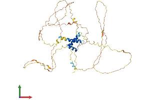 AlphaFold protein structure predicition of Mouse Recombinant Irx5 Protein, UniprotID Q9JKQ4