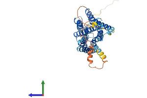 AlphaFold protein structure predicition of Mouse Recombinant Opn5 Protein, UniprotID Q6VZZ7
