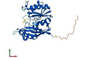 AlphaFold protein structure predicition of Human Recombinant DPH6 Protein, UniprotID Q7L8W6