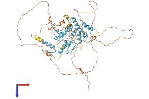 AlphaFold protein structure predicition of Human Recombinant ZNF496 Protein, UniprotID Q96IT1