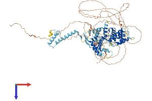 AlphaFold protein structure predicition of Human Recombinant DEPDC1 Protein, UniprotID Q5TB30