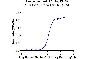 Immobilized Human PVRIG, mFc Tag at 1 μg/mL (100 μL/well) on the plate. (PVRL2 Protein (AA 32-360) (Fc Tag))