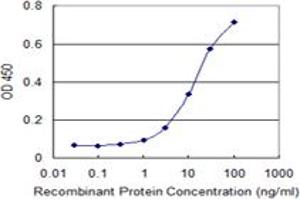 Detection limit for recombinant GST tagged ZNF81 is 0.