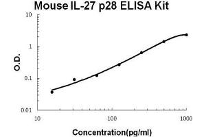 Mouse IL-27 p28 PicoKine ELISA Kit standard curve (IL-27 Kit ELISA)