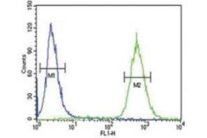anti-Glial Cell Line Derived Neurotrophic Factor (GDNF) (AA 8-36) antibody