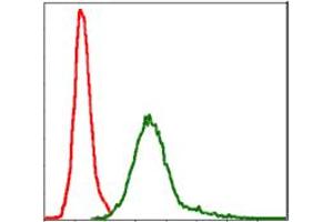 Image no. 7 for anti-Baculoviral IAP Repeat-Containing 5 (BIRC5) antibody (ABIN1501243) (Survivin anticorps)