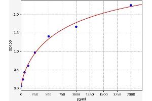 Prokineticin 1 (Prok1) ELISA Kit