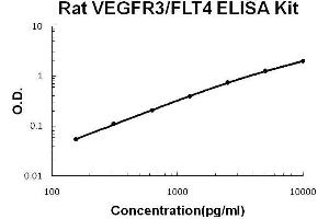 Rat VEGFR3/FLT4 PicoKine ELISA Kit standard curve (FLT4 Kit ELISA)