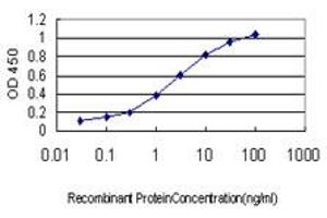 Detection limit for recombinant GST tagged RAB8A is approximately 0.