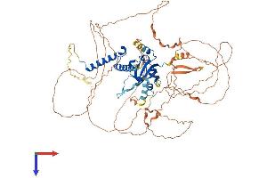 AlphaFold protein structure predicition of Human Recombinant AHRR Protein, UniprotID A9YTQ3